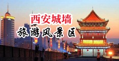 骚女被插逼网站中国陕西-西安城墙旅游风景区